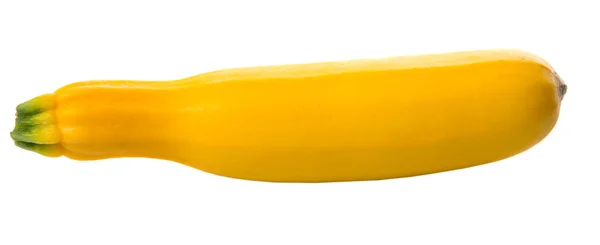 Yellow Zucchini Vegetable — Stock Photo, Image