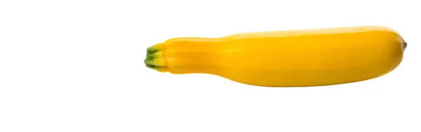 Gul Zucchini vegetabiliska — Stockfoto