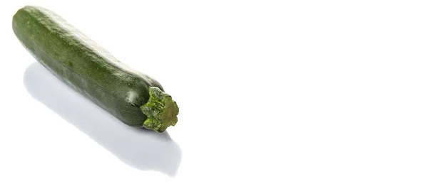 Зеленый кабачок — стоковое фото