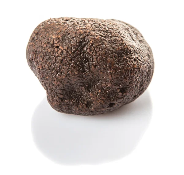 Black Truffle Mushroom — Stock Photo, Image