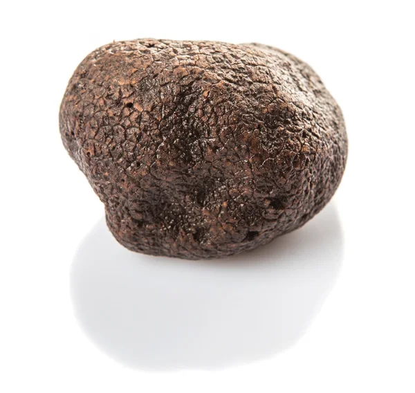 Fungo tartufo nero — Foto Stock