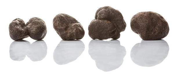 Black Truffle Mushroom — Stock Photo, Image