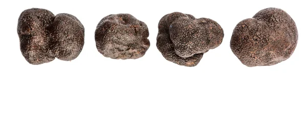 Чёрный гриб-трюфель — стоковое фото
