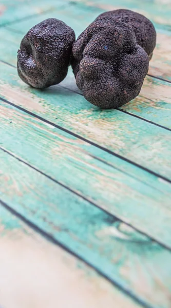 Cogumelo de trufa preto — Fotografia de Stock