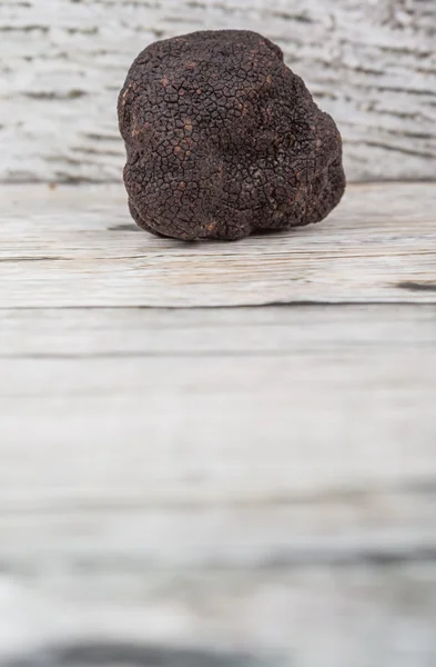 Fungo tartufo nero — Foto Stock