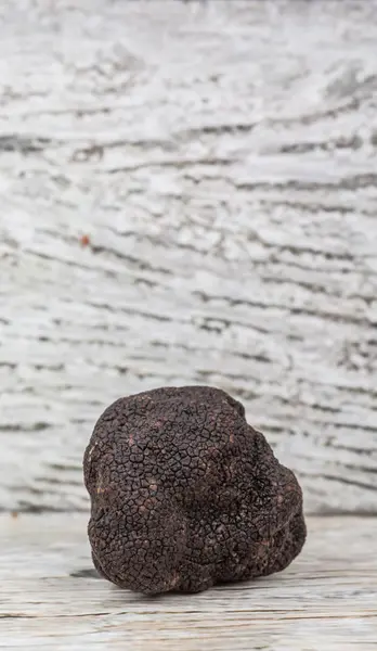 Black Truffle Mushroom — Stock Photo, Image