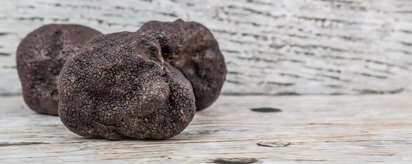 Zwarte truffel paddenstoel — Stockfoto