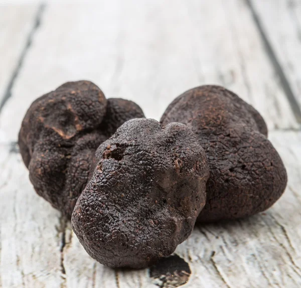 Black Truffle Mushroom — Stock Photo © akulamatiau 99873994