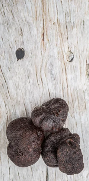 Чёрный гриб-трюфель — стоковое фото