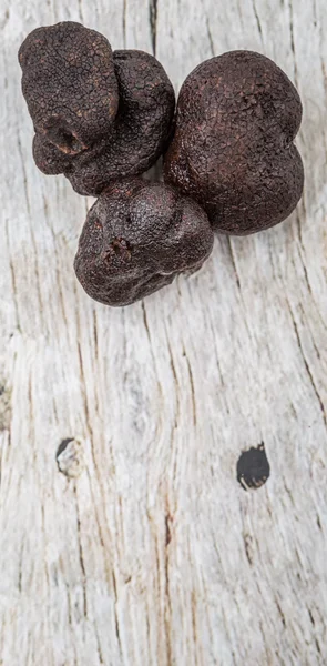 Schwarzer Trüffelpilz — Stockfoto