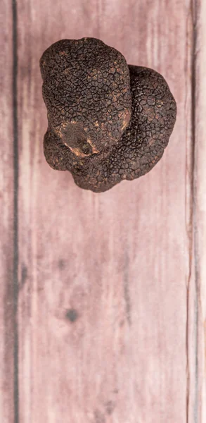 Cogumelo de trufa preto — Fotografia de Stock