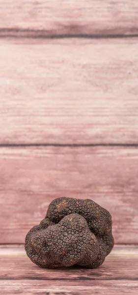 Cogumelo de trufa preto — Fotografia de Stock