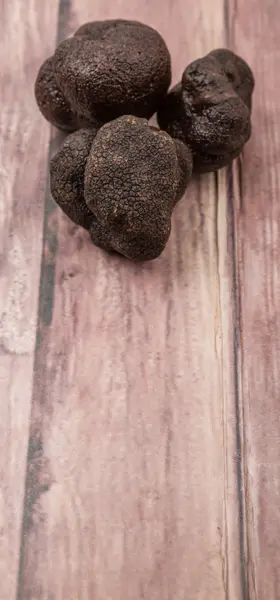 Champignon à la truffe noire — Photo