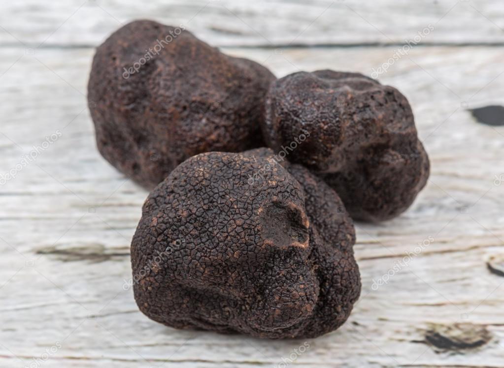 Black Truffle Mushroom — Stock Photo © akulamatiau 99873994