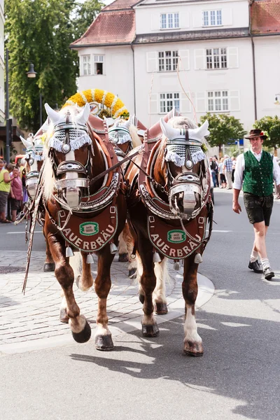 Rosenheim, Germany, 09/04/2016: Harvest festival parade in Rosenheim — Stock Photo, Image