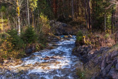 Ramsauer Ache, Ramsau yakınlarındaki Berchtesgadener Ulusal Parkı 'ndaki Hintersee' nin çıkış noktası.