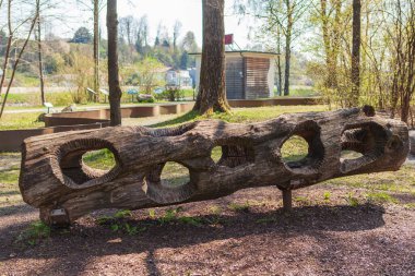 Rosenheim, Almanya - 25.April 2021: Innmuseum 'un dış bölgesinde delikleri olan ağaç gövdesi 