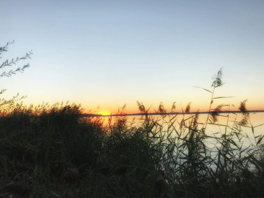 Chiemsee 'de gün batımı, ön planda sazlıklar