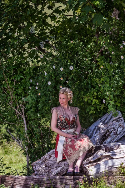 Mulher Atraente Dirndl Festivo Sentado Natureza — Fotografia de Stock