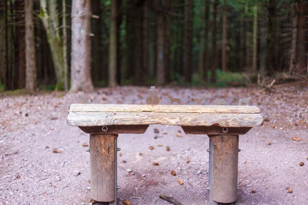 Objetivo Con Figuras Plegables Bosque Para Lanzar Con Conos Abeto — Foto de Stock