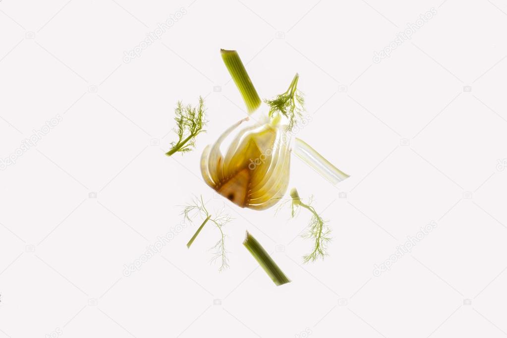 Parts of a raw fennel thinly cut open.