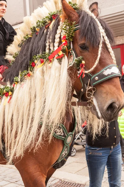 Cavalo decorado pelo passeio de Georgi em Traunstein — Fotografia de Stock
