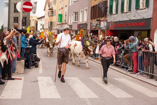 Kufstein / Áustria / Tirol-19.Setembro: Vacas decoradas em cattl — Fotografia de Stock