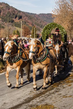 Schliersee, Almanya, Bayern 08/11/2015: Parade Float Schliersee içinde Leonhardifahrt içinde