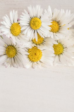 ahşap masaya papatya çiçek