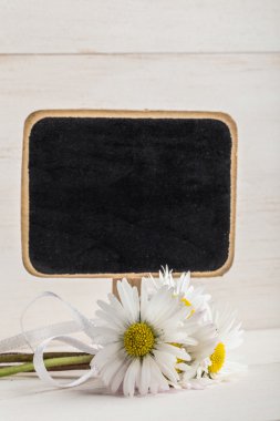 Papatya çiçekler ve ahşap yüzey kara tahta