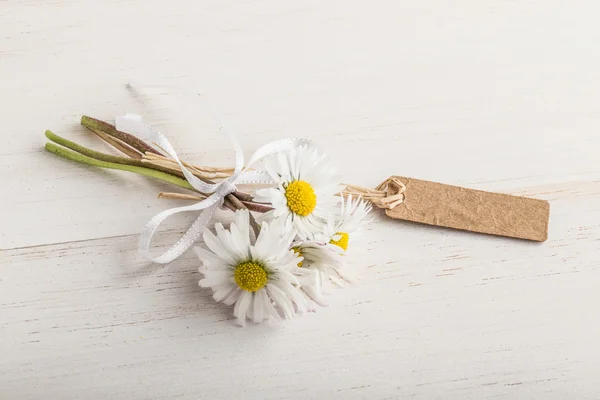 Daisy blommor med namnbricka — Stockfoto