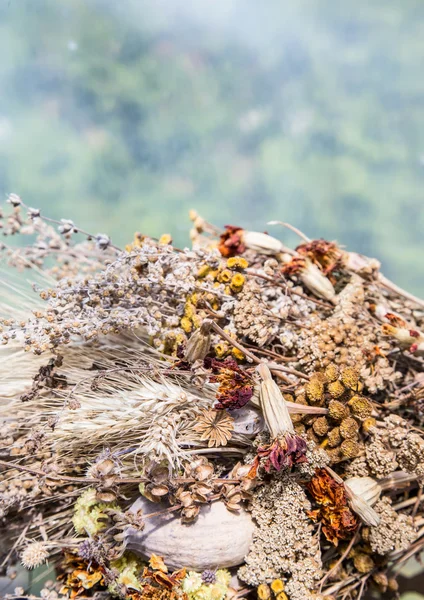 Сухой цветочный букет — стоковое фото