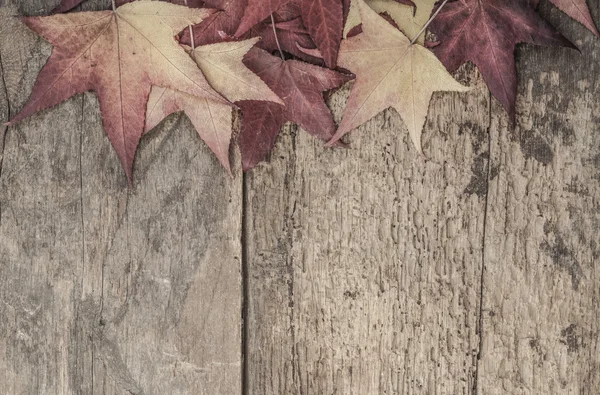 Jesienne szablon z kolorowych liści na drewno — Zdjęcie stockowe