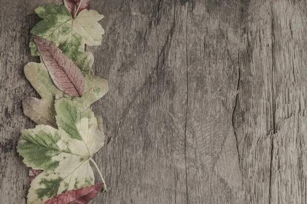 Осінній шаблон з сушеним листям на дерев'яній поверхні — стокове фото