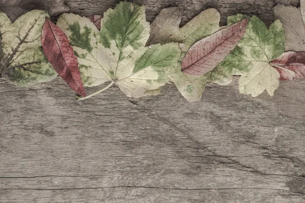 ahşap yüzey üzerinde kurutulmuş yaprakları ile sonbahar şablonu