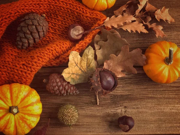 autumn template with pumpkin and dried leaves on a wooden table