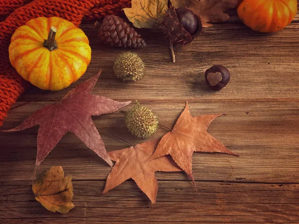autumn template with pumpkin and dried leaves on a wooden table with copy space
