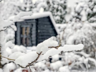 Küçük ahşap kulübe ve kışın karların altındaki bahçesi.