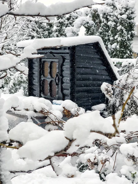 Small Wooden Hut Its Garden Snow Winter — Stock Photo, Image