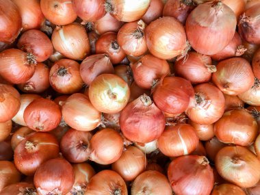 Arkaplan olarak çiğ soğan ampulleri yığını