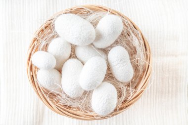 Beyaz ipek böceği kozaları, sepetteki ipek kumaş kaynağı.