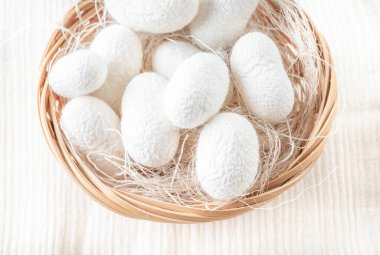 Beyaz ipek böceği kozaları, sepetteki ipek kumaş kaynağı.