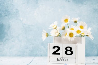 Mart ayı için beyaz küp takvimi mavi arkaplanda papatya çiçekleri ve kopya alanı ile süslenmiş