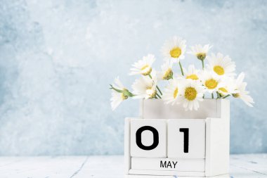 Mayıs ayı için mavi arkaplan üzerinde papatya çiçekleri ile süslenmiş beyaz küp takvimi kopya alanı
