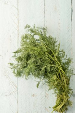 Tahta masada bir sürü dereotu ve fotokopi alanı.