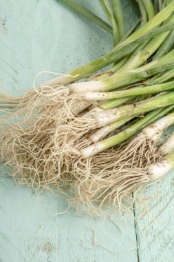 Tahta masadaki taze soğanları yakın plan çek.