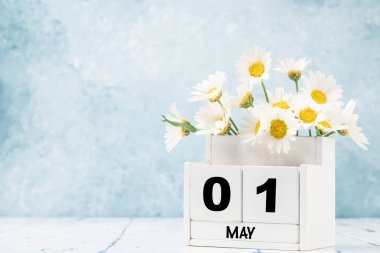 Mayıs ayı için mavi arkaplan üzerinde papatya çiçekleri ile süslenmiş beyaz küp takvimi kopya alanı