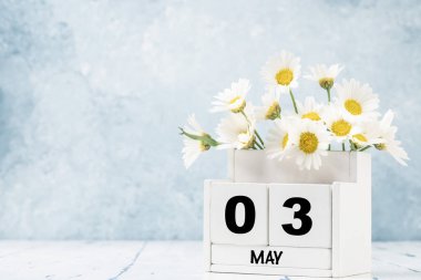 Mayıs ayı için mavi arkaplan üzerinde papatya çiçekleri ile süslenmiş beyaz küp takvimi kopya alanı
