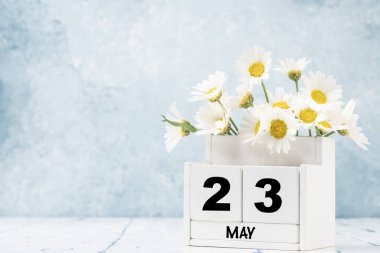 Mayıs ayı için mavi arkaplan üzerinde papatya çiçekleri ile süslenmiş beyaz küp takvimi kopya alanı