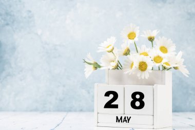 Mayıs ayı için mavi arkaplan üzerinde papatya çiçekleri ile süslenmiş beyaz küp takvimi kopya alanı